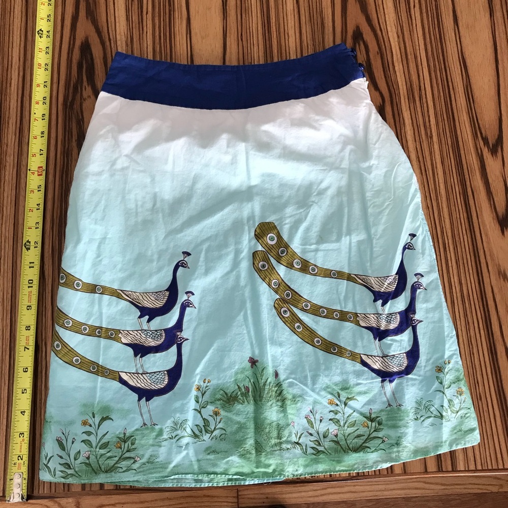 Anthropologie skirt size 0